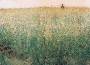 Oat Field, Grez Karl Nordstrom